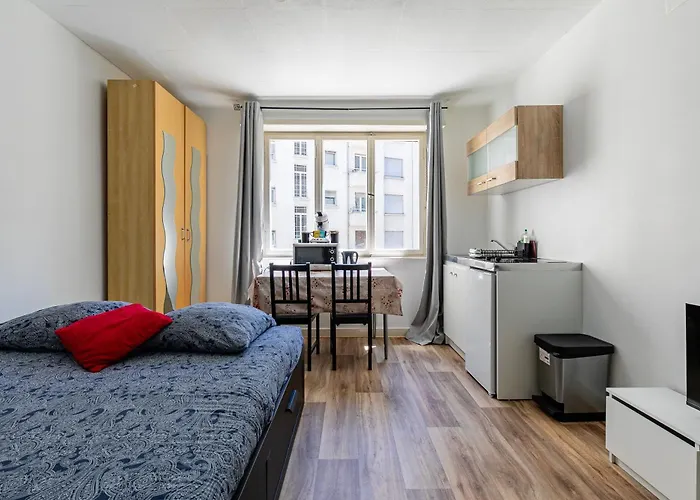 דירה Cosy - Hyper Centre - Cathedrale - Strasbnb שטרסבורג